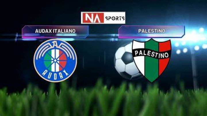 Late Drama in Copa Chile: Audax Italiano Secures 2-1 Victory Over Palestino