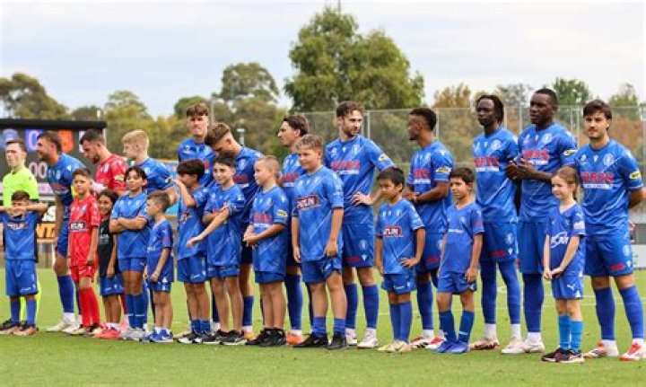 Dandenong City FC vs Avondale FC Lineup Impact Assessment | NPL Victoria Men 2026