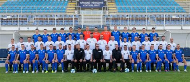 Fan Sentiment & Community Verdict: FK Humenné vs MFK Zemplín Michalovce – Did the Polls Get It Right?