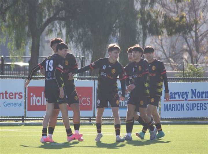 Fan Sentiment & Community Verdict: Para Hills vs North Eastern MetroStars – NPL South Australia 2026 Poll Results
