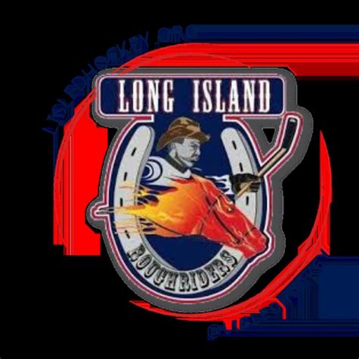 Fan Sentiment & Community Verdict: Long Island Rough Riders vs Cedar Stars FC – USL League Two Poll Analysis