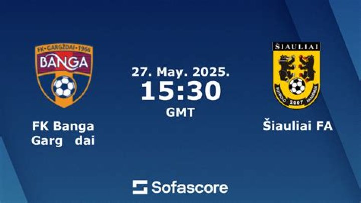Tactical Lineup Impact: FK Banga Gargždai vs FK Žalgiris Match Assessment