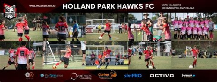 Community Verdict: Holland Park Hawks vs Logan Lightning Post-Match Analysis