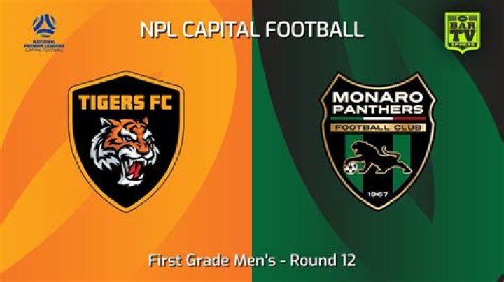 Monaro Panthers vs Tigers FC Standings Impact: NPL Capital Football 2026 Table Shift