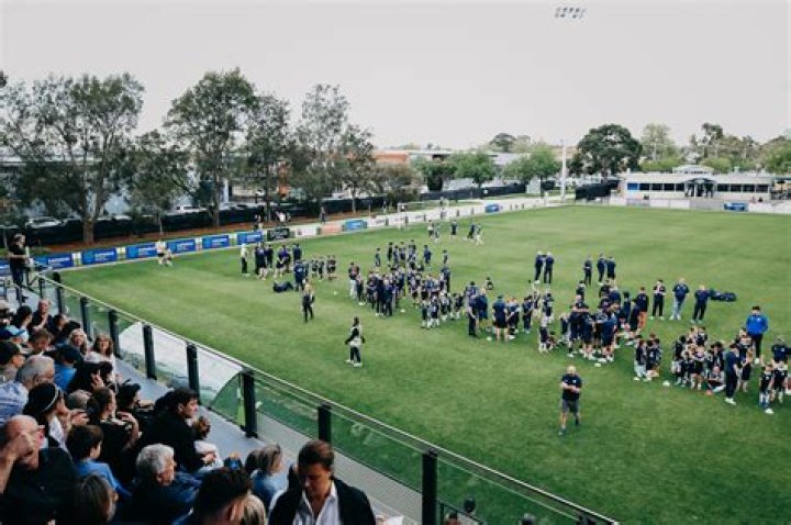 Heidelberg United FC vs Oakleigh Cannons FC Tactical Stats Analysis | NPL Victoria Men 2026 Postmortem