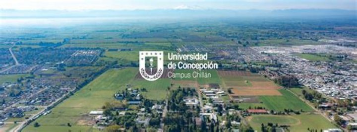 Momentum Analysis: Ñublense vs Universidad de Concepción – Heading into Copa Chile Showdown