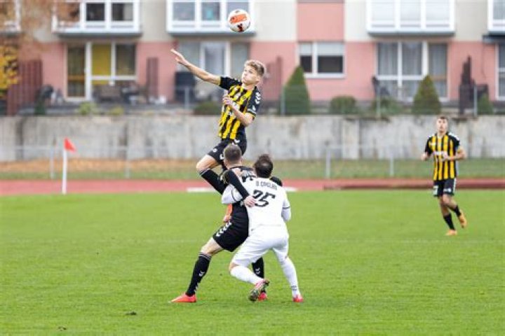 The Fan Pulse: Analytical Breakdown of Community Sentiment for Šiauliai FA vs FK Panevėžys
