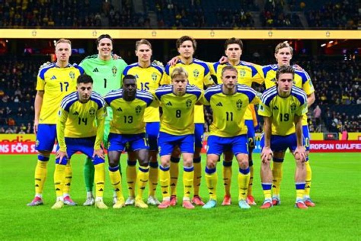 Netherlands vs Sweden: Momentum Analysis & World Cup 2026 Tactical Preview